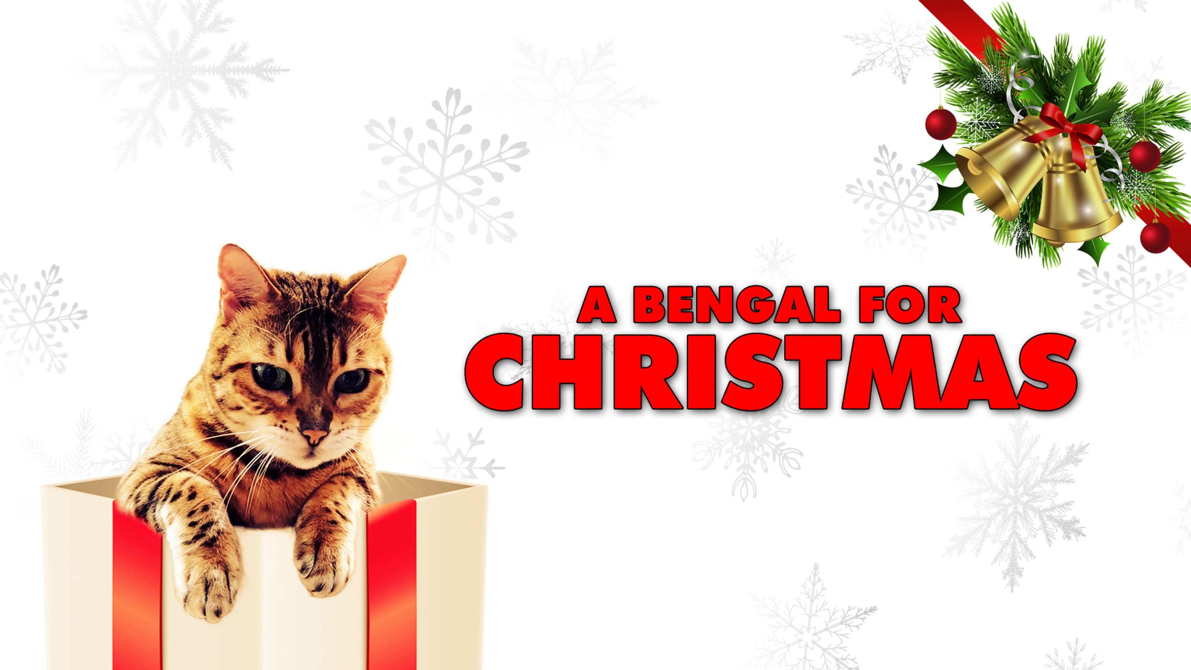 A Bengal For Christmas poster